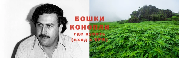 трава Абаза