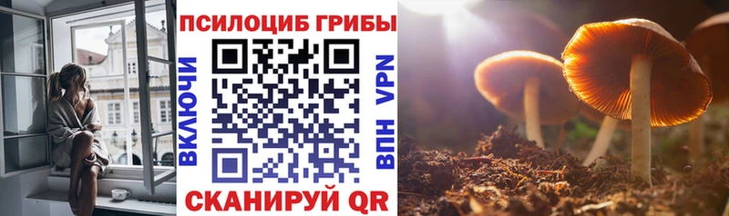 Галлюциногенные грибы MAGIC MUSHROOMS  Почеп 